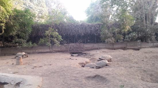 Jardim Zoológico de Karachi